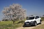 Seat Altea Freetrack 2007 года